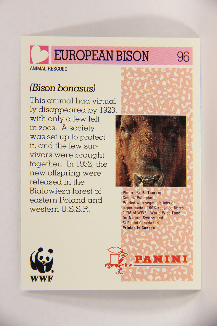 Wildlife In Danger WWF 1992 Trading Card #96 European Bison ENG L017032