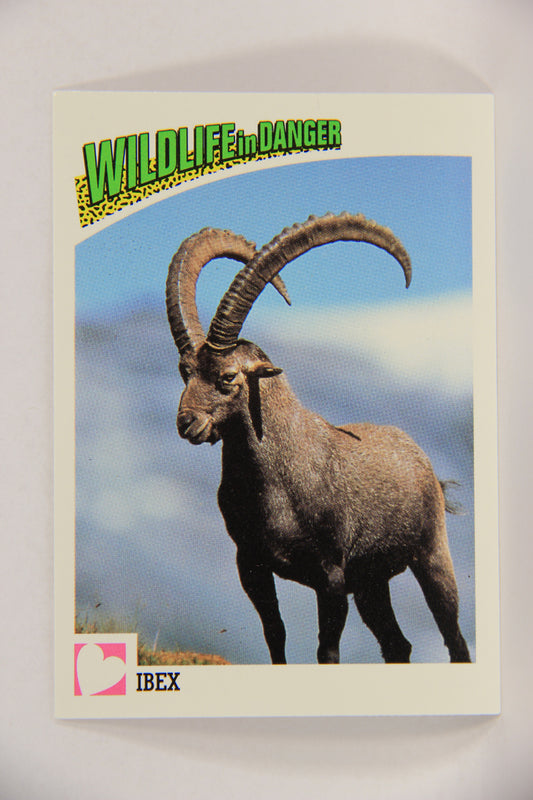 Wildlife In Danger WWF 1992 Trading Card #98 Ibex ENG L017034