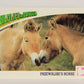 Wildlife In Danger WWF 1992 Trading Card #99 Przewalski's Horse ENG L017035