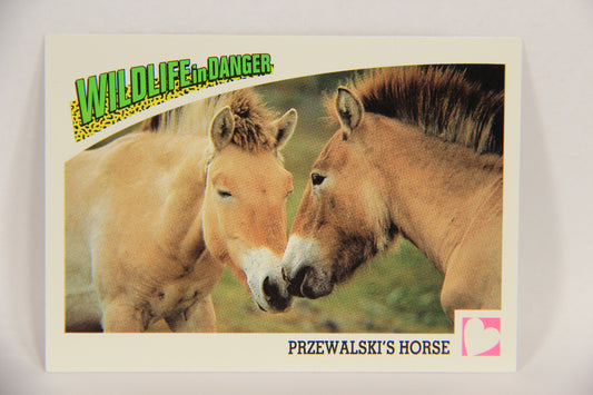 Wildlife In Danger WWF 1992 Trading Card #99 Przewalski's Horse ENG L017035