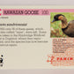 Wildlife In Danger WWF 1992 Trading Card #100 Hawaiian Goose ENG L017036