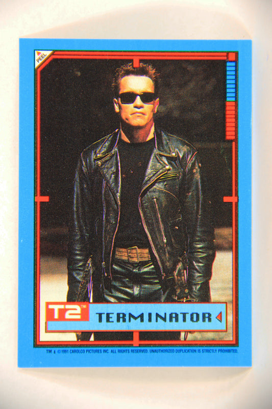 Terminator 2 Judgement Day 1991 Trading Card Sticker #2 Terminator L017099