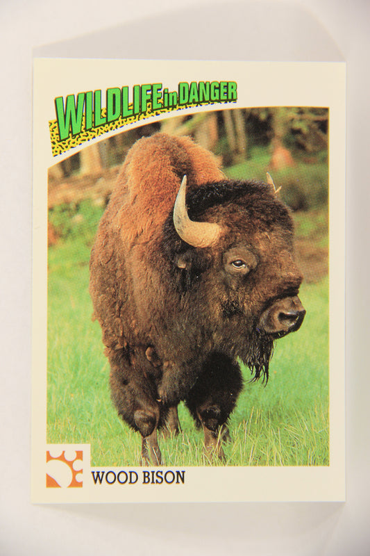 Wildlife In Danger WWF 1992 Trading Card #9 Wood Bison ENG L017678