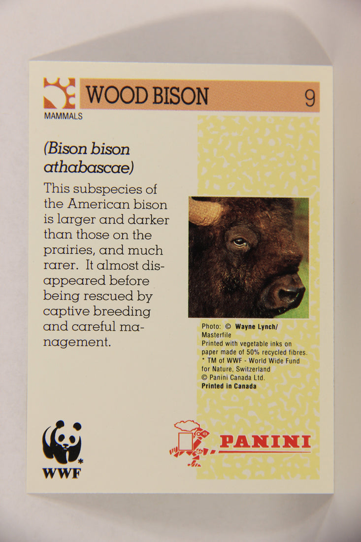 Wildlife In Danger WWF 1992 Trading Card #9 Wood Bison ENG L017678