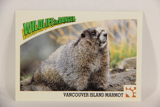 Wildlife In Danger WWF 1992 Trading Card #28 Vancouver Island Marmot ENG L017679