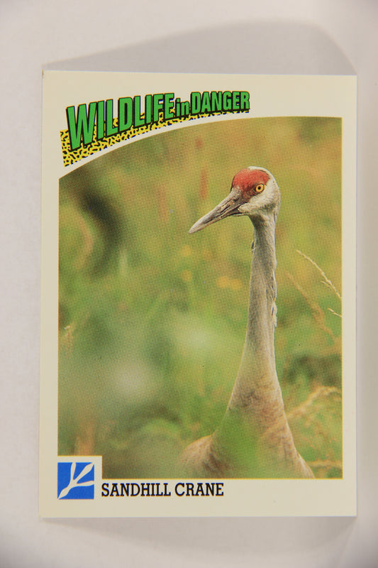 Wildlife In Danger WWF 1992 Trading Card #70 Sandhill Crane ENG L017681