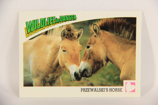 Wildlife In Danger WWF 1992 Trading Card #99 Przewalski's Horse ENG L017682