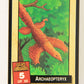 Escape Of The Dinosaurs 1993 Trading Card #5 Archaeopteryx ENG L017690
