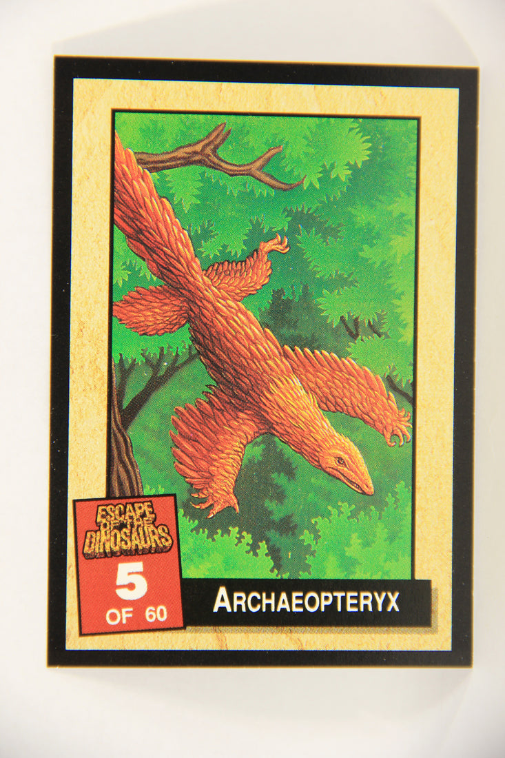 Escape Of The Dinosaurs 1993 Trading Card #5 Archaeopteryx ENG L017690