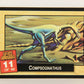 Escape Of The Dinosaurs 1993 Trading Card #11 Compsognathus ENG L017696