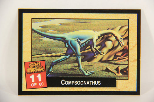 Escape Of The Dinosaurs 1993 Trading Card #11 Compsognathus ENG L017696