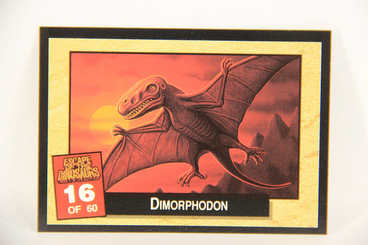 Escape Of The Dinosaurs 1993 Trading Card #16 Dimorphodon ENG L017701