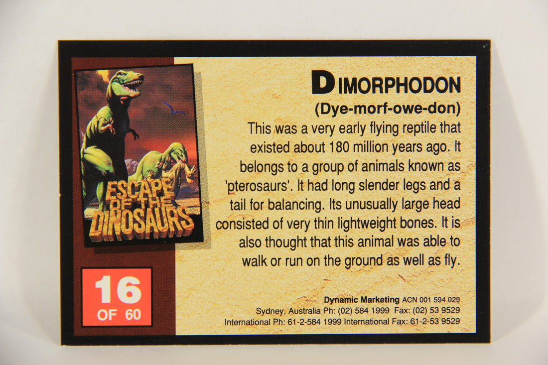 Escape Of The Dinosaurs 1993 Trading Card #16 Dimorphodon ENG L017701
