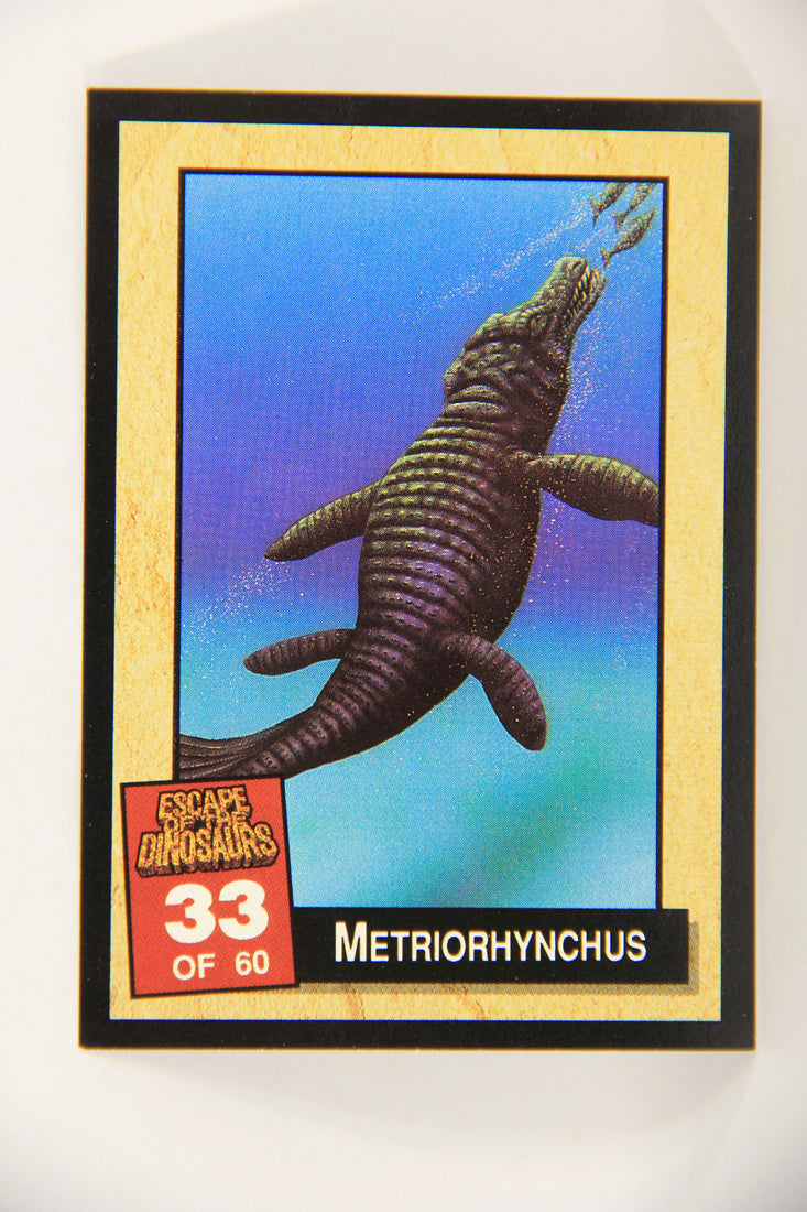 Escape Of The Dinosaurs 1993 Trading Card #33 Metriorhynchus ENG L017718