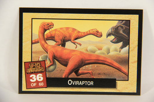 Escape Of The Dinosaurs 1993 Trading Card #36 Oviraptor ENG L017721