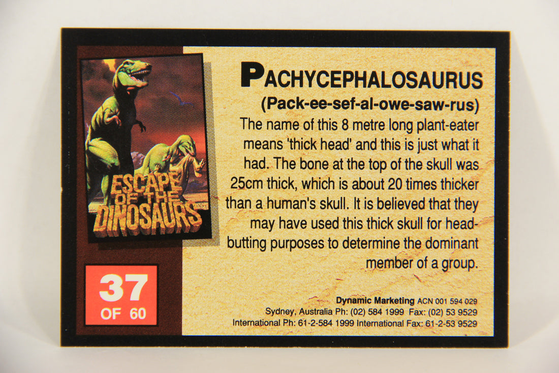 Escape Of The Dinosaurs 1993 Trading Card #37 Pachycephalosaurus ENG L017722