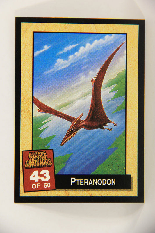 Escape Of The Dinosaurs 1993 Trading Card #43 Pteranodon ENG L017728