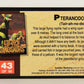 Escape Of The Dinosaurs 1993 Trading Card #43 Pteranodon ENG L017728