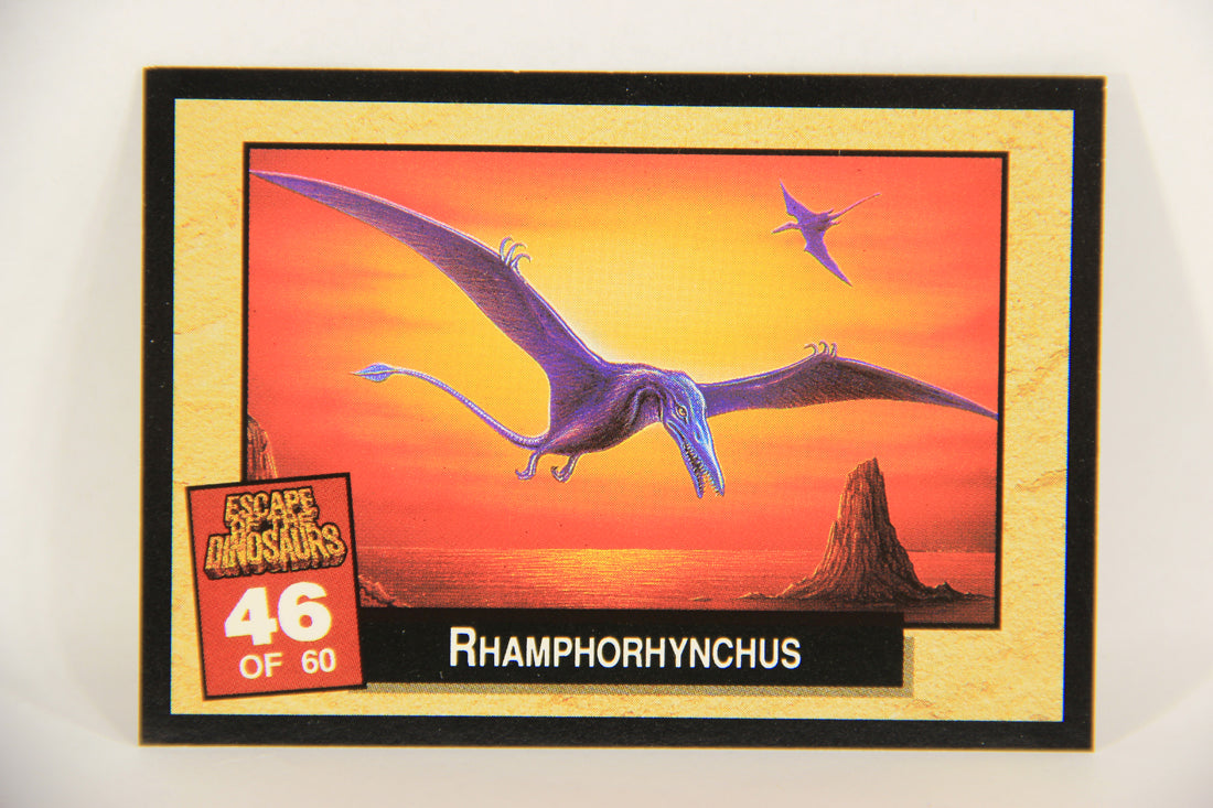Escape Of The Dinosaurs 1993 Trading Card #46 Rhamphorhynchus ENG L017731
