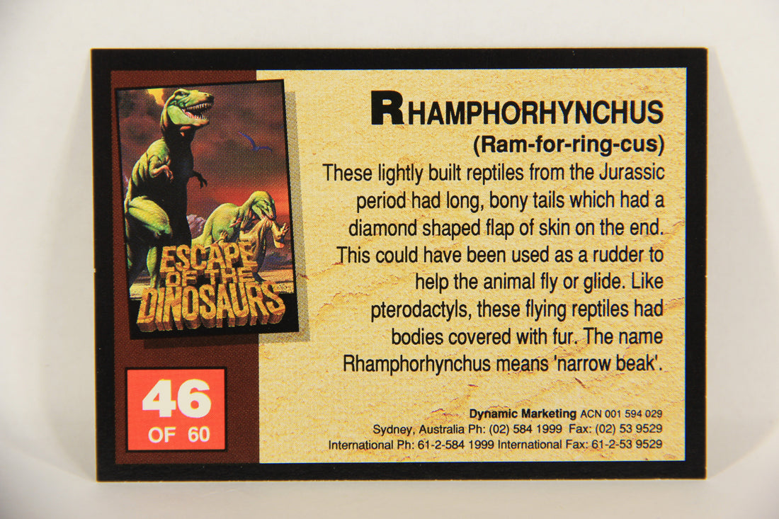 Escape Of The Dinosaurs 1993 Trading Card #46 Rhamphorhynchus ENG L017731