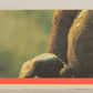 E.T. The Extra-Terrestrial 1982 Trading Card Sticker #6 E.T. And Elliot L018120