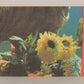 E.T. The Extra-Terrestrial 1982 Trading Card Sticker #8 E.T. - Elliot - Gertie L018122