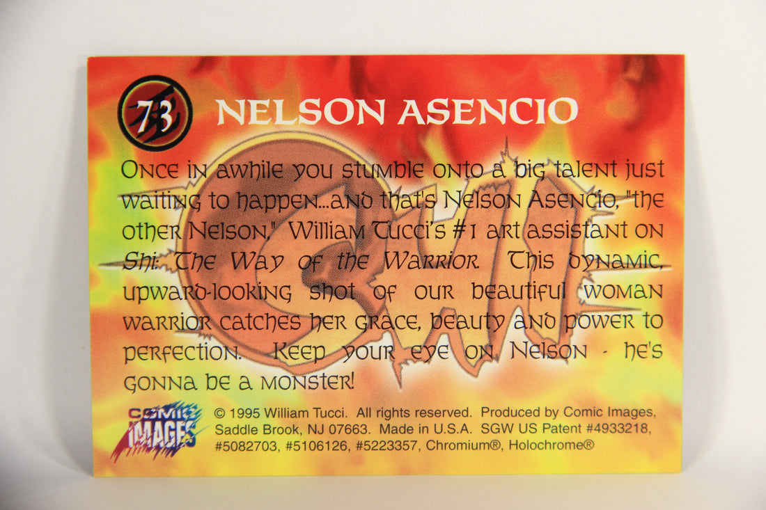 Shi All-Chromium 1995 Trading Card #73 Nelson Asencio ENG L018323