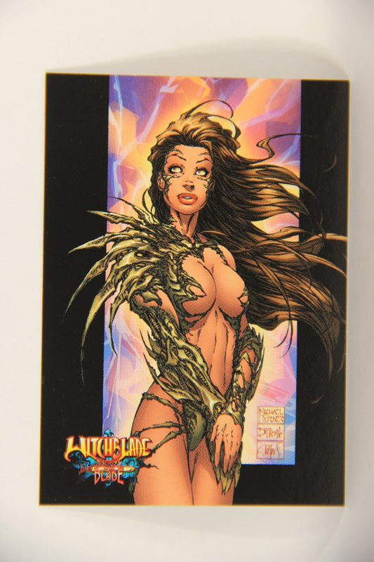 Witchblade Disciples Of The Blade 2002 Trading Card #9 Michael Turner ENG L018425