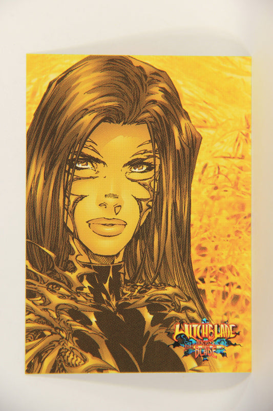 Witchblade Disciples Of The Blade 2002 Trading Card #47 Michael Turner ENG L018463