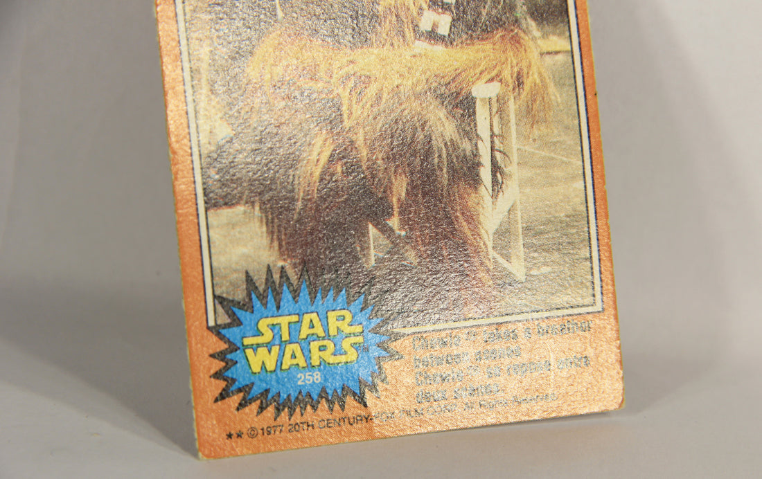 Star Wars 1977 Card #258 Chewie Takes A Breather Between Scenes FR-ENG OPC L018883