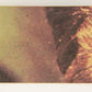 Star Wars 1977 Trading Card #67 See-Threepio And Luke FR-ENG OPC L019029