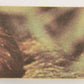 Star Wars 1977 Trading Card #72 Ben Kenobi Rescues Luke FR-ENG O-Pee-Chee L019030