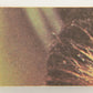 Star Wars 1977 Card #74 Luke Skywalker On Tatooine FR-ENG O-Pee-Chee L019031
