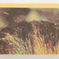 Star Wars 1977 Trading Card #80 Where Has R2-D2 Gone FR-ENG OPC L019033
