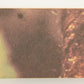 Star Wars 1977 Trading Card #104 Luke's Uncle And Aunt FR-ENG O-Pee-Chee L019040