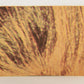 Star Wars 1977 Trading Card #112 Threatened By Sandpeople FR-ENG OPC L019042