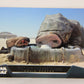 Star Wars The Force Awakens 2015 Card #4 Of 20 Finn And The Happabore ENG L019307