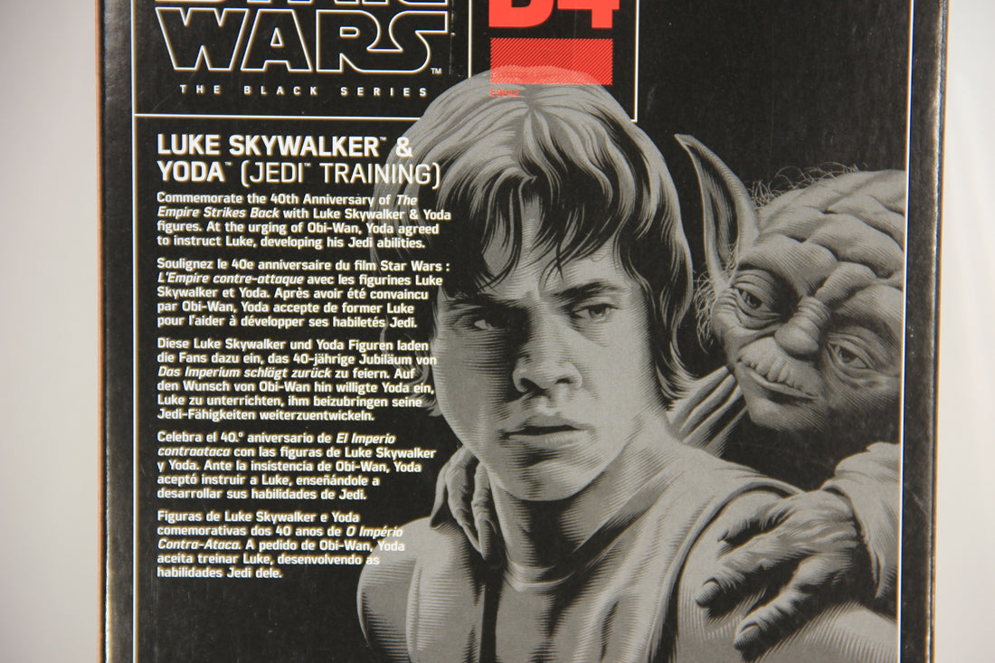 Star Wars Luke Skywalker & Yoda Jedi Training #D4 Black Series 6" 40th Anniv. L019425