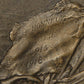 France 1926 WWI Médaille Commémorative D'Orient - Bronze L019511