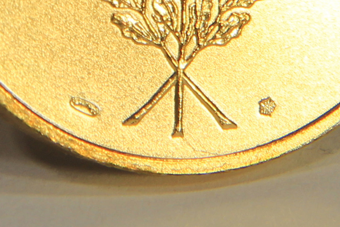 France 1997 Médaille D'Afrique Du Nord - North Africa Medal - Gilded Bronze L019516
