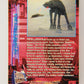 Star Wars Galaxy 1995 Topps Trading Card #357 The AT-AT Battle Artwork ENG L019719