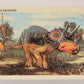 Dinosaurs The Mesozoic Era 1993 Vintage Trading Card #7 Triceratops ENG L019769