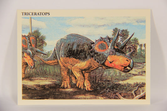Dinosaurs The Mesozoic Era 1993 Vintage Trading Card #7 Triceratops ENG L019769