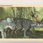 Dinosaurs The Mesozoic Era 1993 Vintage Trading Card #24 Styracosaurus ENG L019771