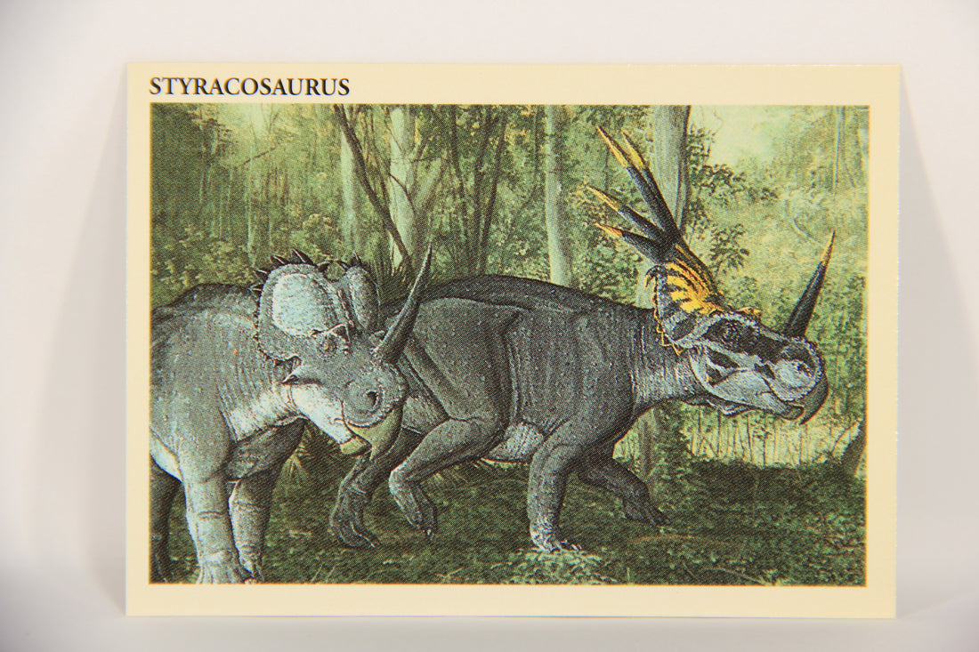 Dinosaurs The Mesozoic Era 1993 Vintage Trading Card #24 Styracosaurus ENG L019771