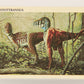 Dinosaurs The Mesozoic Era 1993 Vintage Trading Card #32 Nanotyrannus ENG L019772