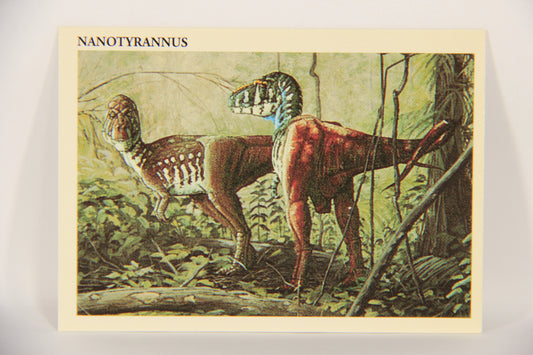 Dinosaurs The Mesozoic Era 1993 Vintage Trading Card #32 Nanotyrannus ENG L019772