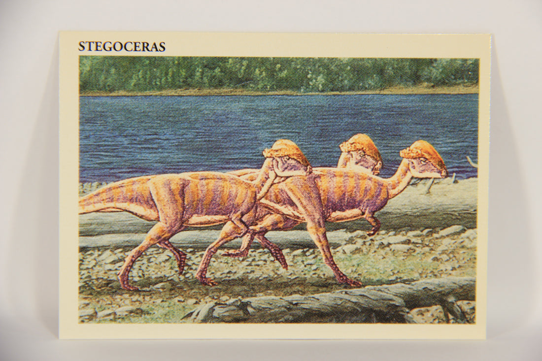 Dinosaurs The Mesozoic Era 1993 Vintage Trading Card #33 Stegoceras ENG L019773