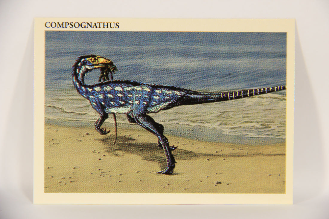 Dinosaurs The Mesozoic Era 1993 Vintage Trading Card #37 Compognathus ENG L019775