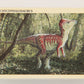 Dinosaurs The Mesozoic Era 1993 Vintage Trading Card #43 Pachycephalosaurus ENG L019776